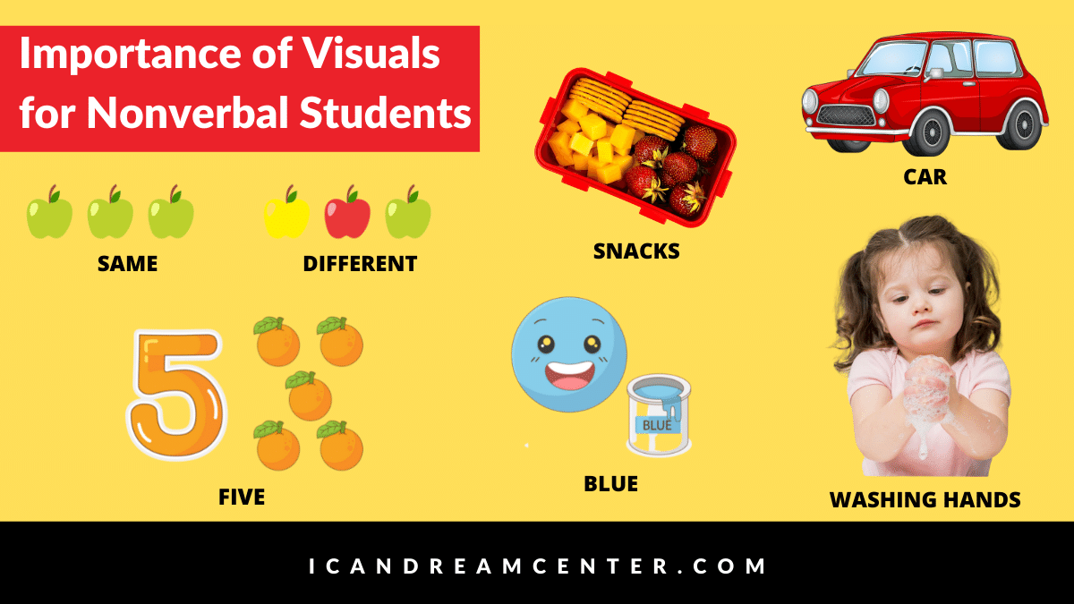 Importance of Visuals for Nonverbal Students